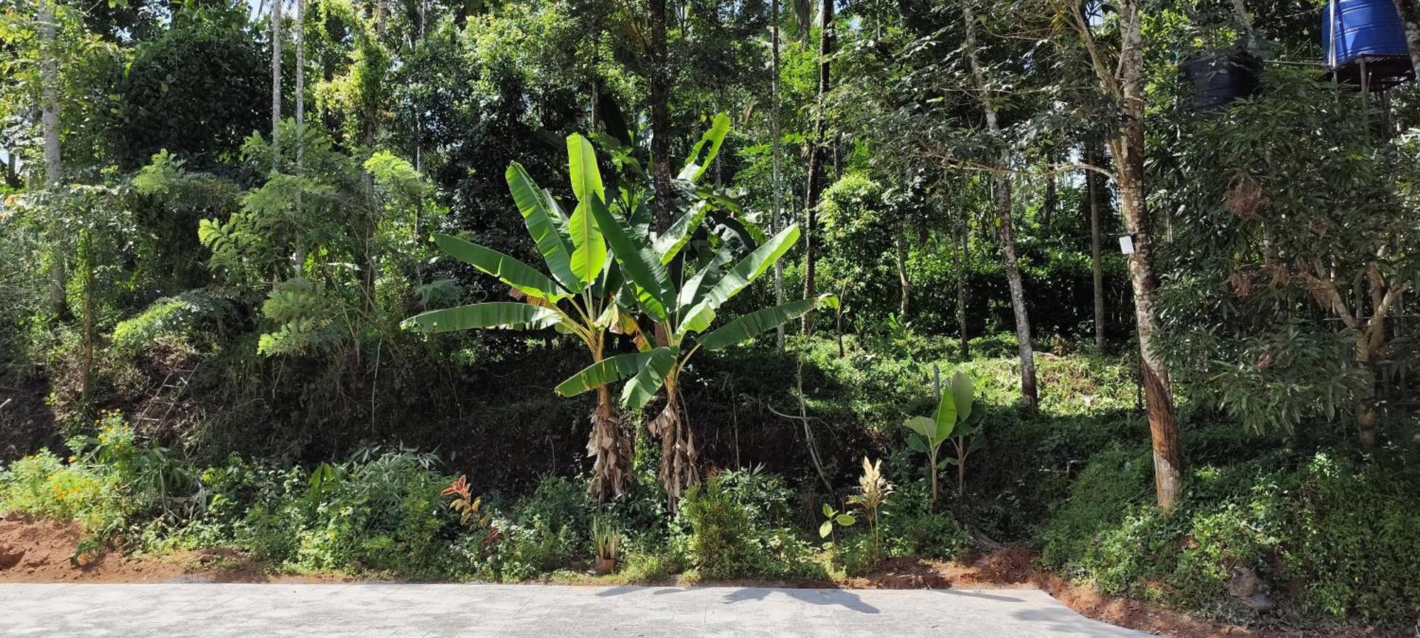 Spice Garden Farm House 苏丹巴特利 外观 照片