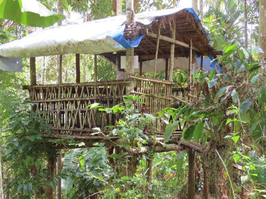 Spice Garden Farm House 苏丹巴特利 外观 照片